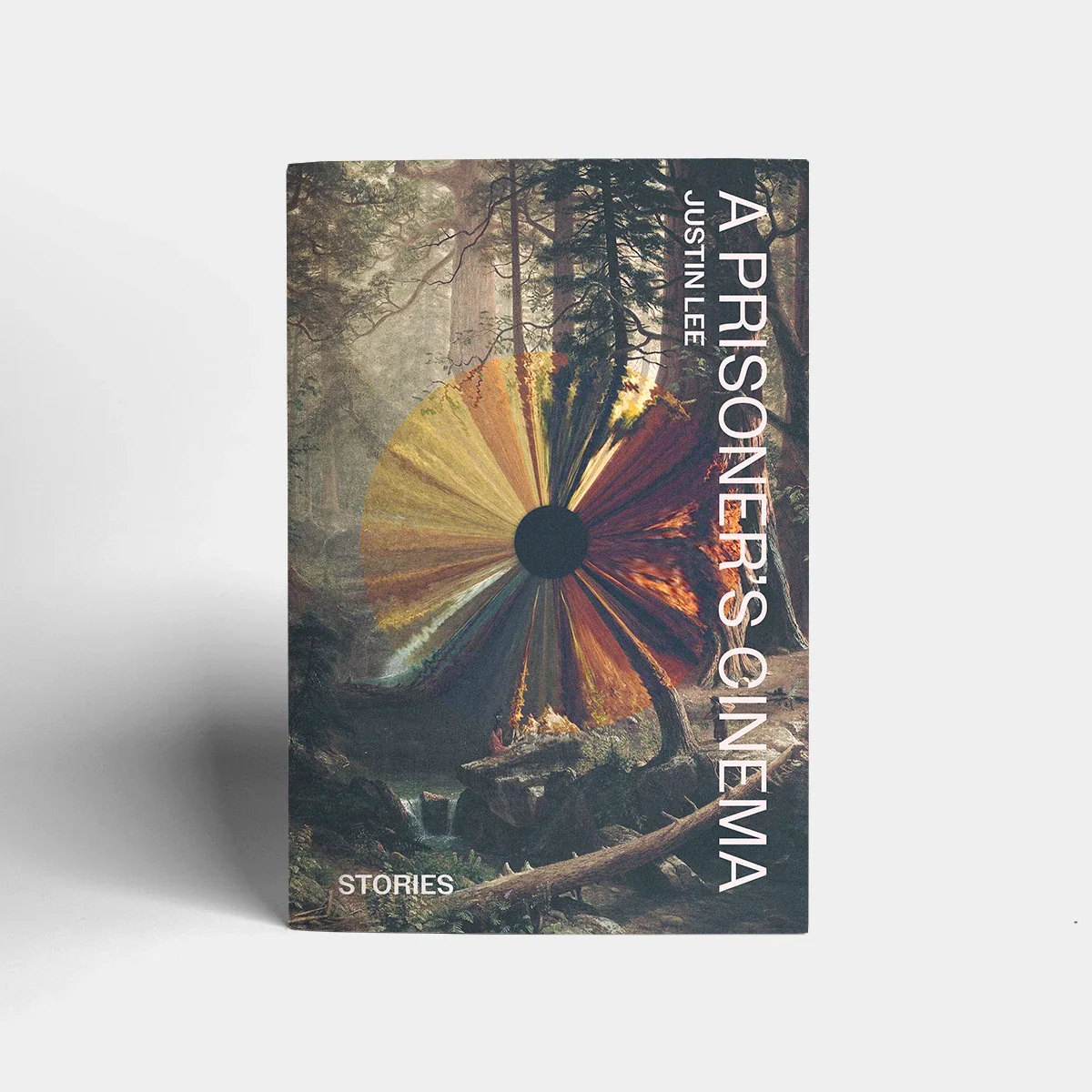 A Prisoner's Cinema by Justin Lee